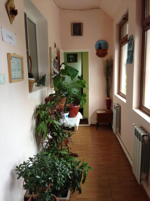 אלוורדי Iris B&B In Debed Canyon מראה חיצוני תמונה