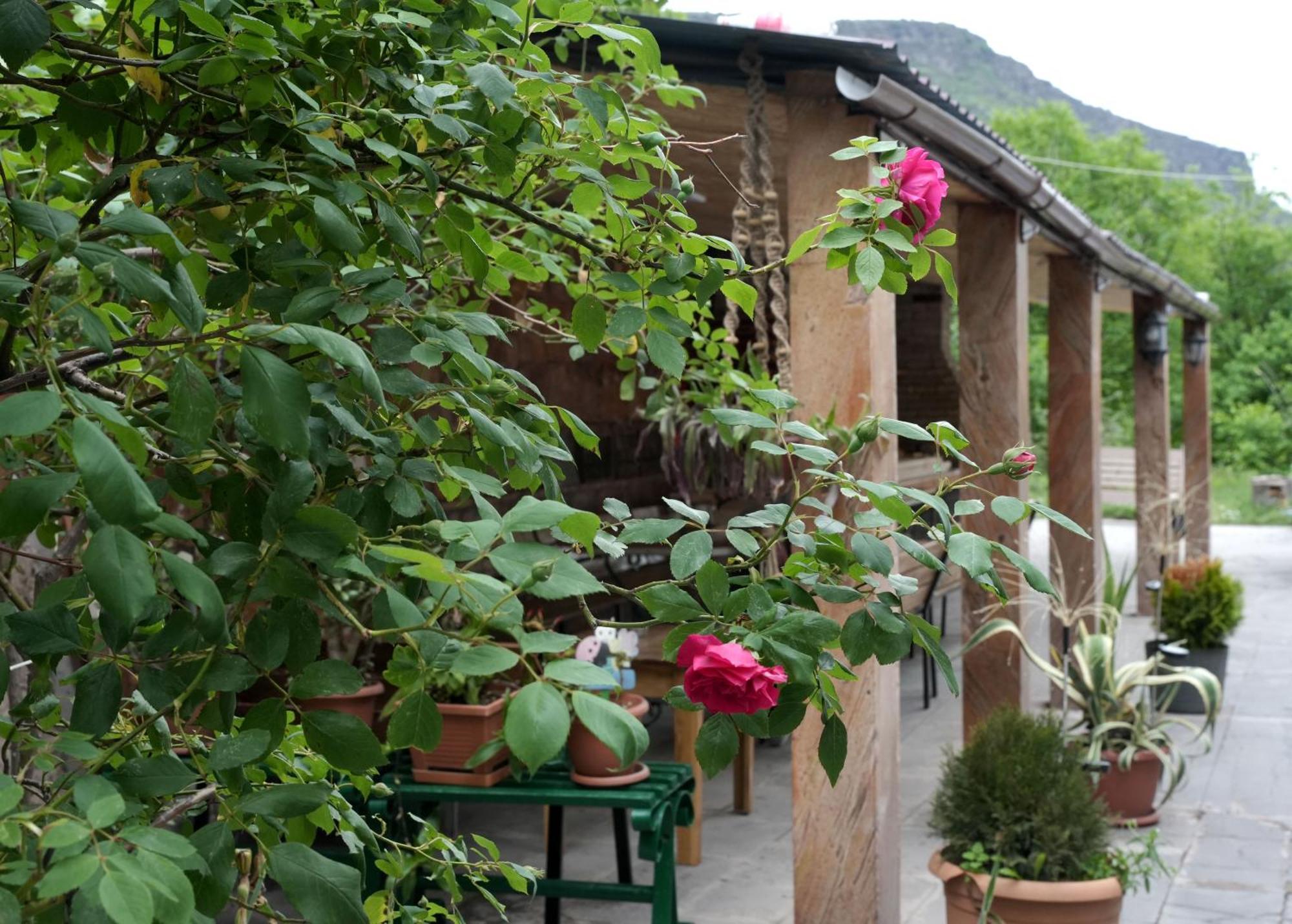 אלוורדי Iris B&B In Debed Canyon מראה חיצוני תמונה